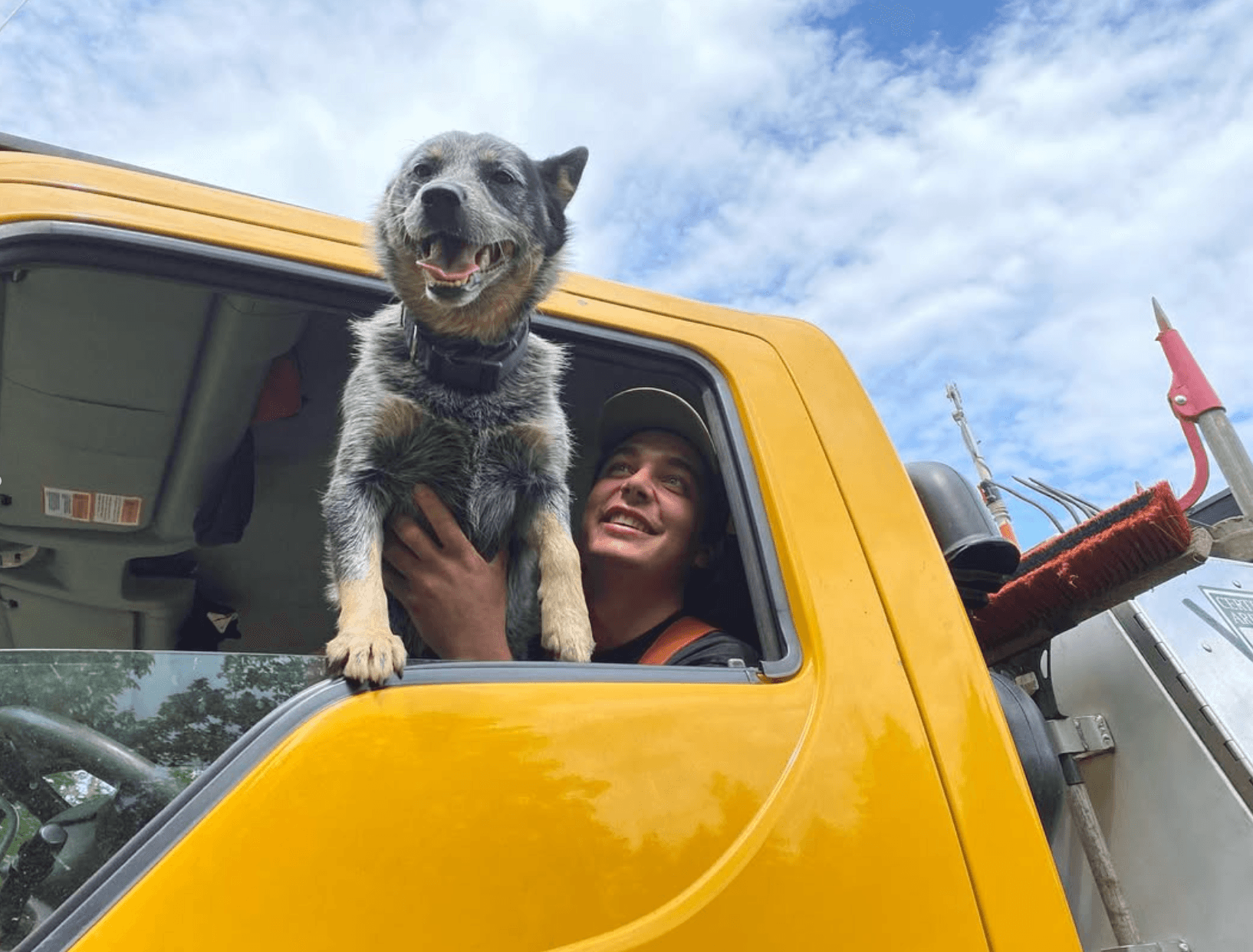 Eucalyptus Landscaping truck and dog